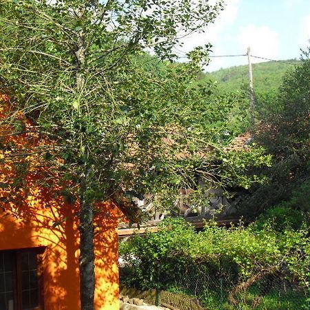 Gite S'Hiesla Rammersmatt Zimmer foto