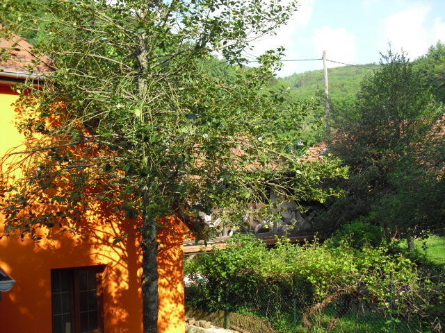 Gite S'Hiesla Rammersmatt Zimmer foto